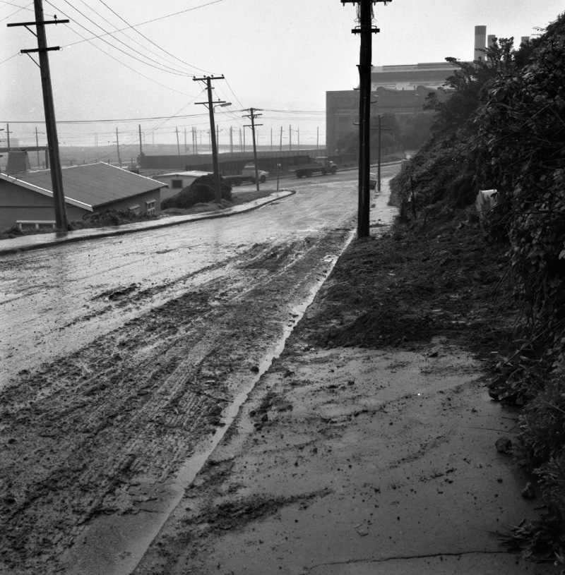 b. Lonsdale Crescent, Rongotai