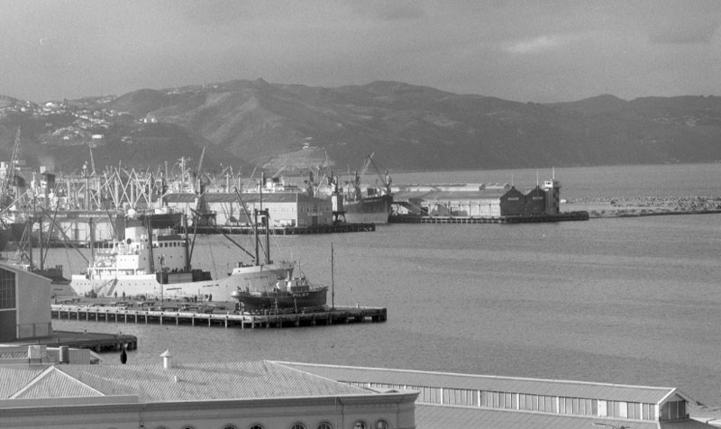 d. Wellington Harbour