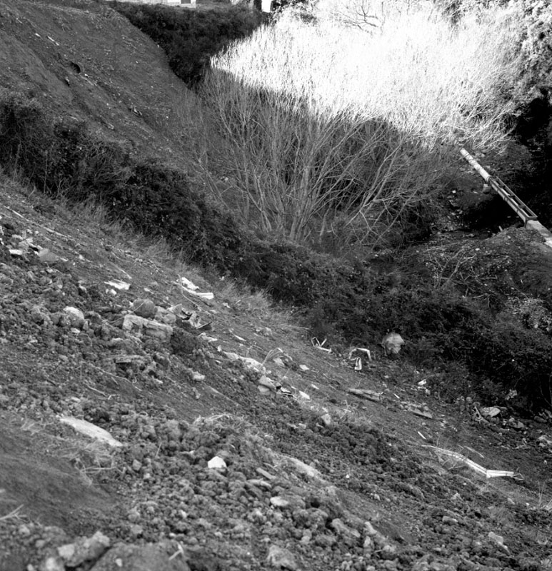 a. No 73 Waikowhai Rd, rubbish on bank