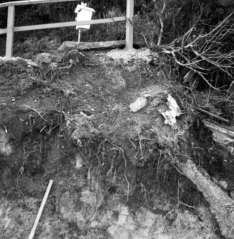 b. Faulty footpath, nos 113-115 Donald St
