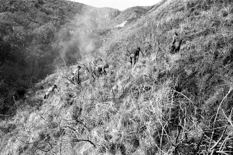 a. Forestry Area, Water Board. Council in session