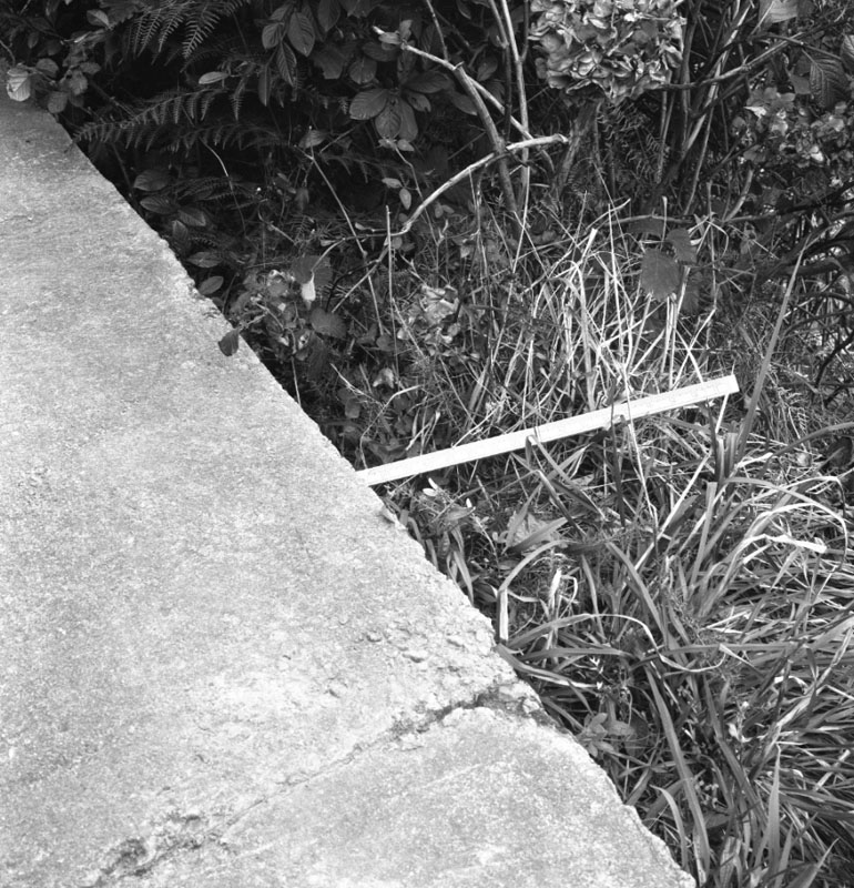 e. Faulty footpath, nos 113-115 Donald St