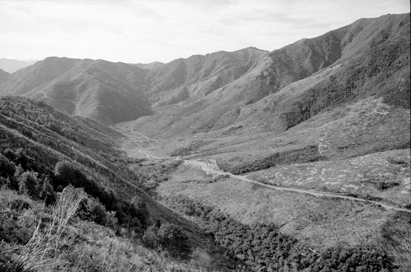 e. Forestry Area, Water Board. Council in session