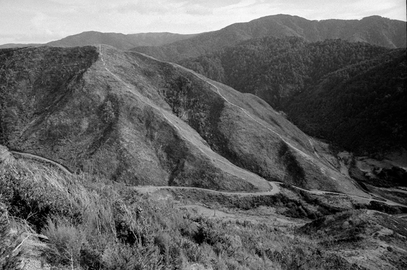 g. Forestry Area, Water Board. Council in session