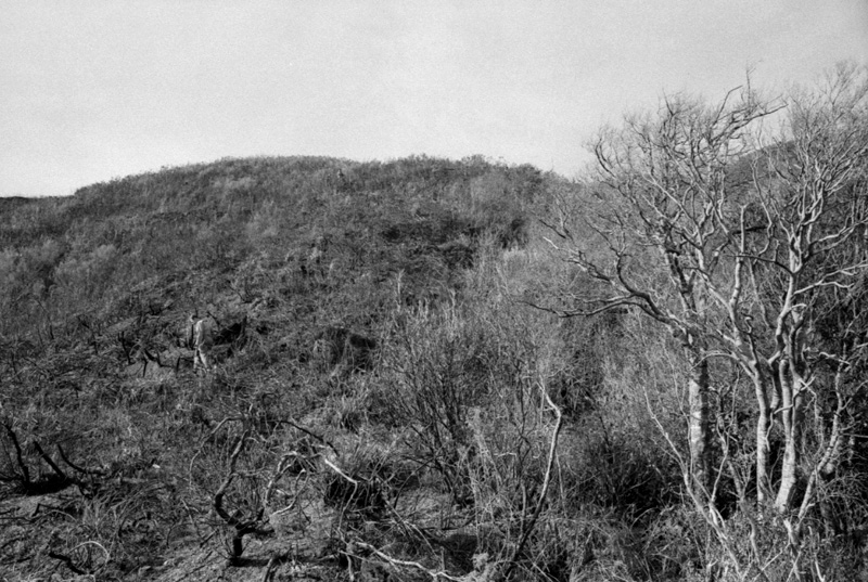 i. Forestry Area, Water Board. Council in session