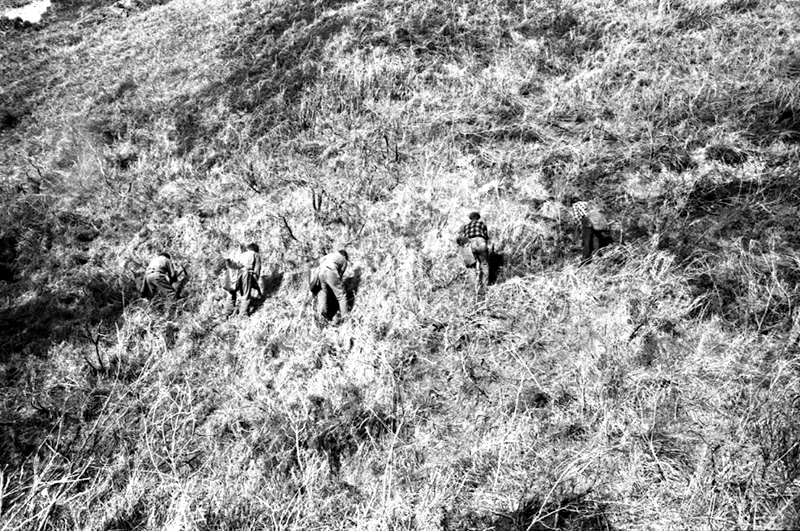 j. Forestry Area, Water Board. Council in session