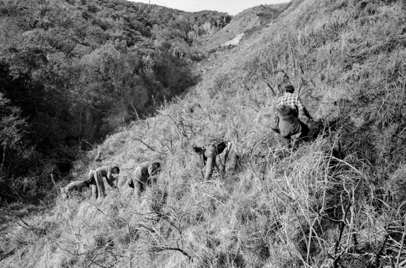 k. Forestry Area, Water Board. Council in session