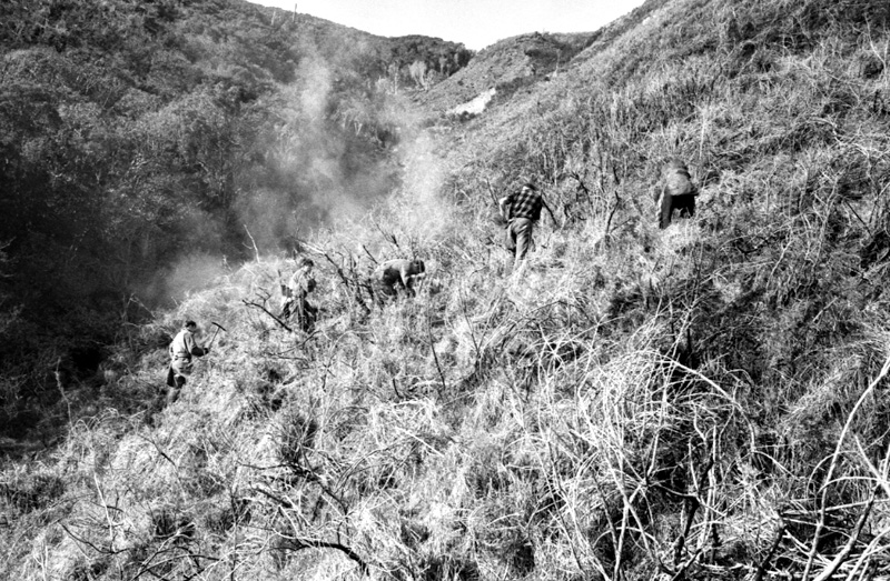 l. Forestry Area, Water Board. Council in session