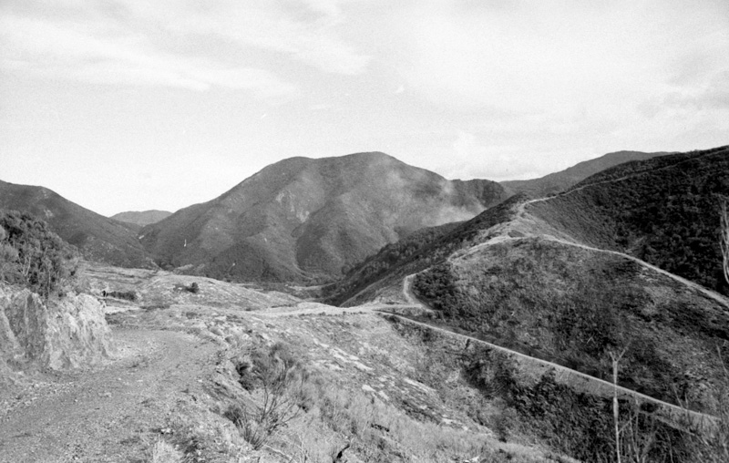 m. Forestry Area, Water Board. Council in session