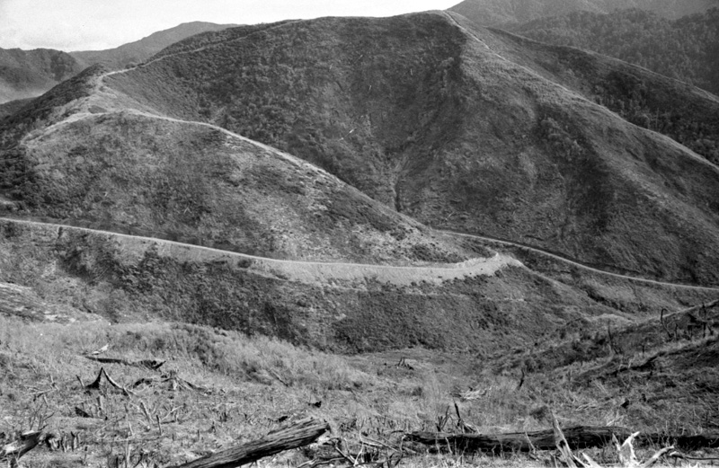 n. Forestry Area, Water Board. Council in session