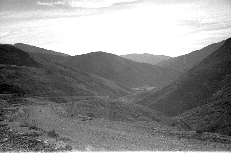 o. Forestry Area, Water Board. Council in session