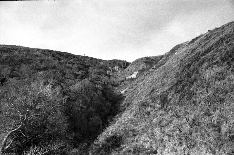 p. Forestry Area, Water Board. Council in session