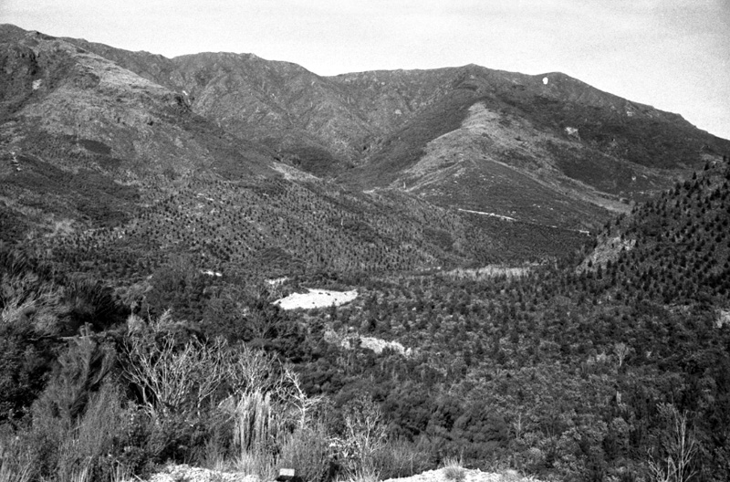 t. Forestry Area, Water Board. Council in session