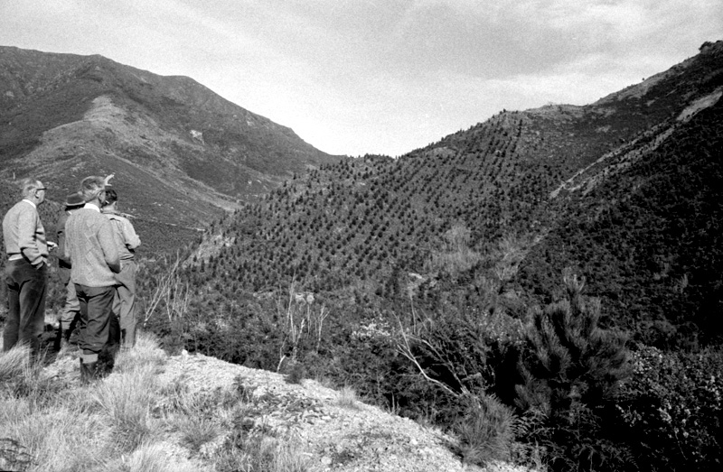 u. Forestry Area, Water Board. Council in session