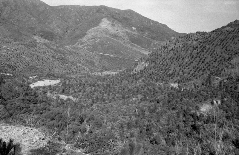 w. Forestry Area, Water Board. Council in session