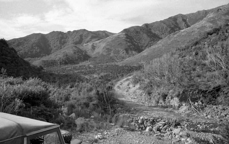 x. Forestry Area, Water Board. Council in session