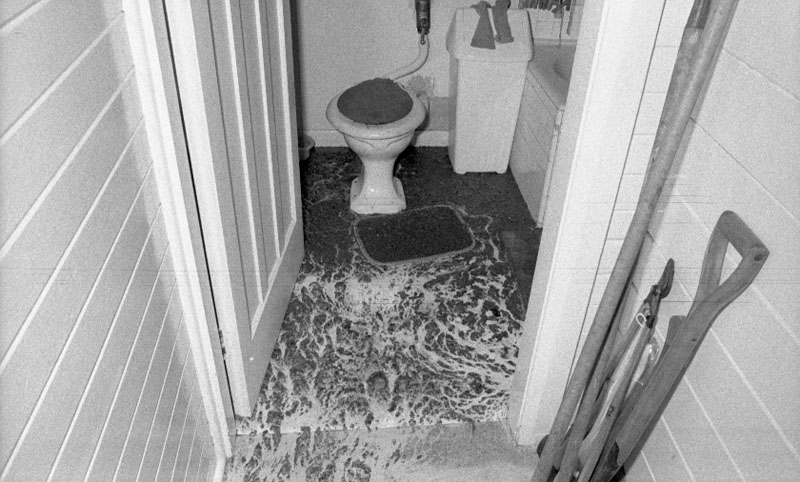 e. No 22 Brooklyn Road, sewer overflow in and around house