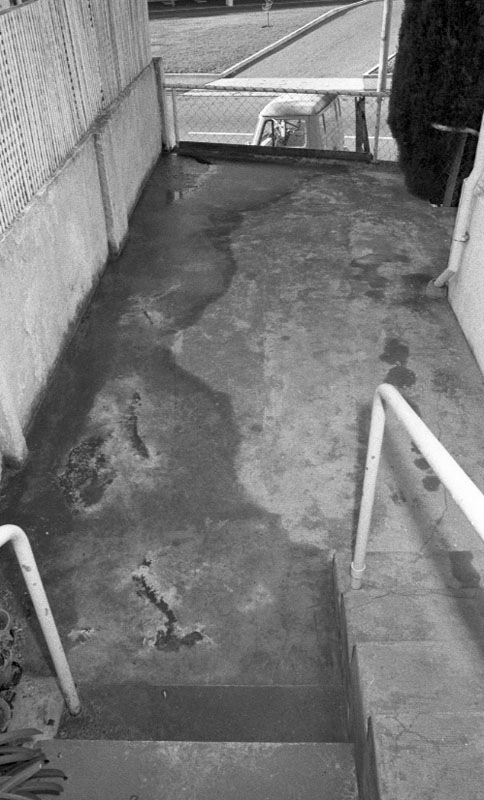 h. No 22 Brooklyn Road, sewer overflow in and around house