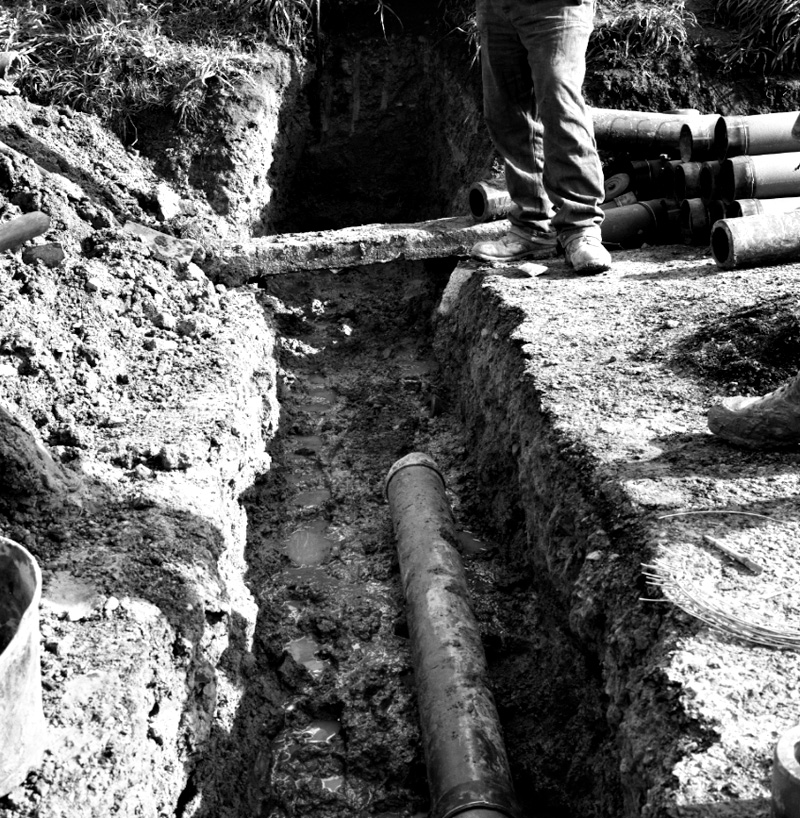 j. No 440 Evans Bay Parade, Alleged accident, cribwall