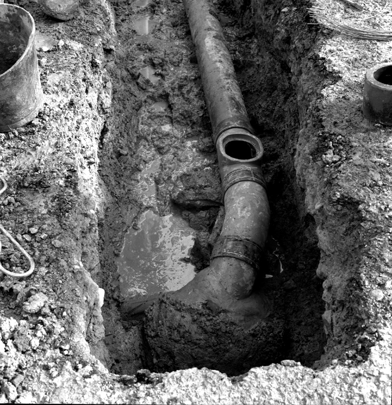 l. No 440 Evans Bay Parade, Alleged accident, cribwall