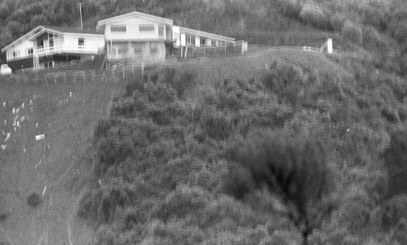 g. Mataroa Street (LB Harford), encroachment on Town Belt, taken from Salamanca Rd