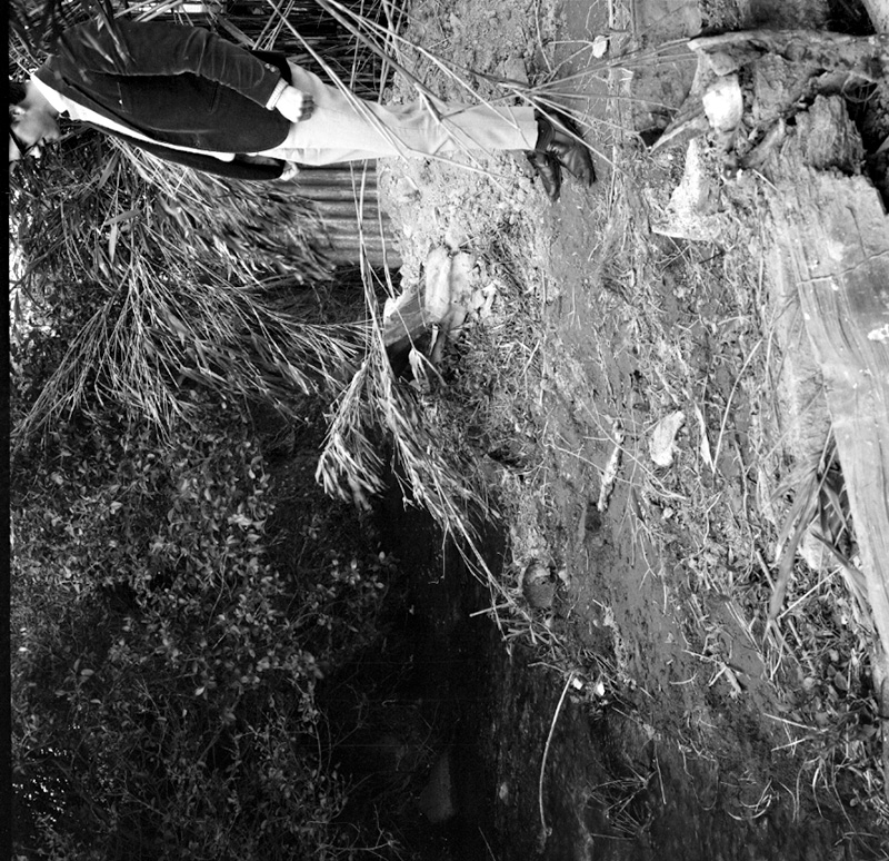 c. 42 inch main, Johnsonville