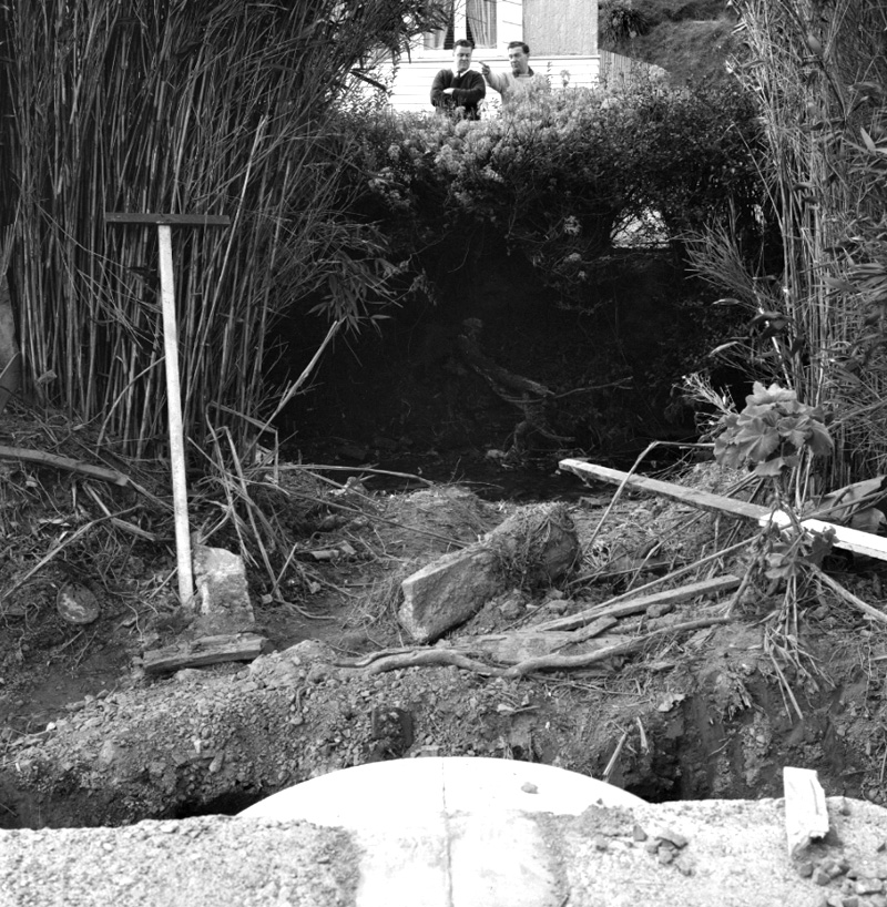 d. 42 inch main, Johnsonville