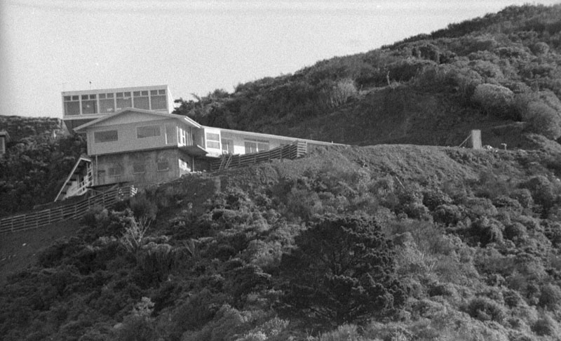 l. Mataroa Street (LB Harford), encroachment on Town Belt, taken from Salamanca Rd