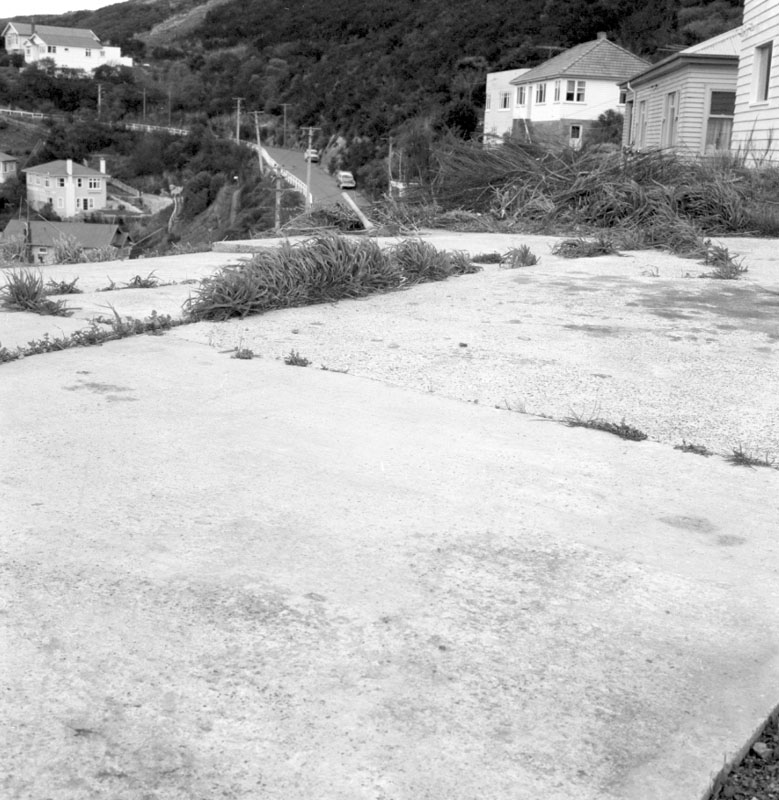 g. Auckland Terrace, widening and access (Mr Mann)