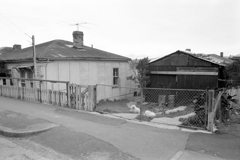 b. Substandard dwellings, Queens Drive, nos 344, 346, 348, 356, 11, 9