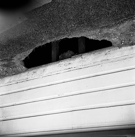 a. Drain, 27 Wright Street, Mount Cook