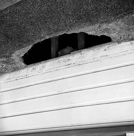 b. Drain, 27 Wright Street, Mount Cook