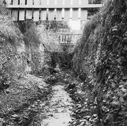 a. Stream, Chamberlain Road, Karori