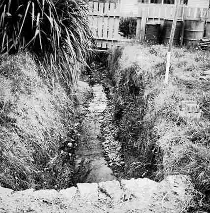 b. Stream, 36 Chamberlain Road, Karori