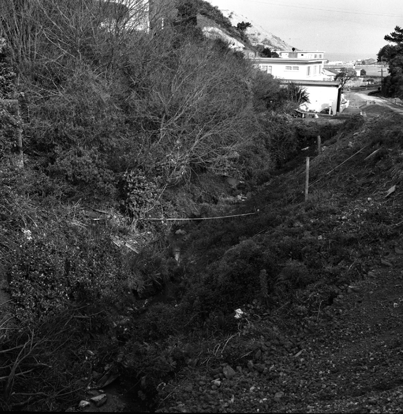 h. Houses and accesses, Liardet Street