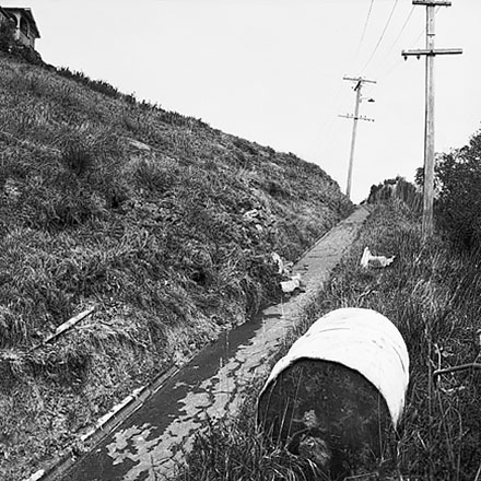 c. Access path, Carlisle Street