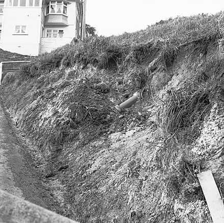 d. Access path, Carlisle Street