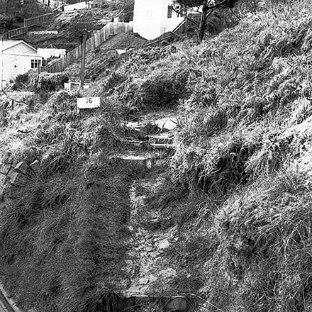 f. Access path, Carlisle Street