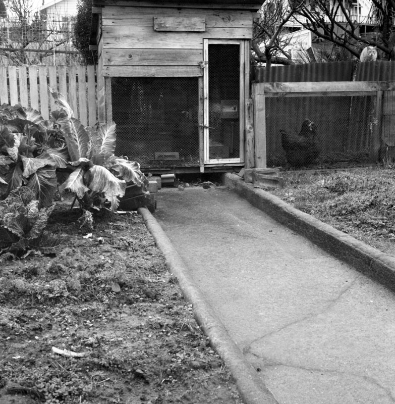 q. Stirling St, stormwater