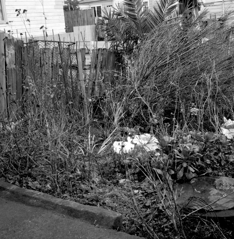 s. Stirling St, stormwater