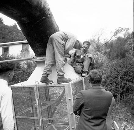 q. Karori Reservoir, Bypass Overflow