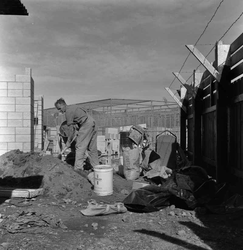 d. New dog pound, Moa Point