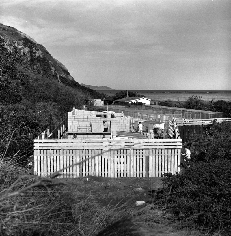 e. New dog pound, Moa Point