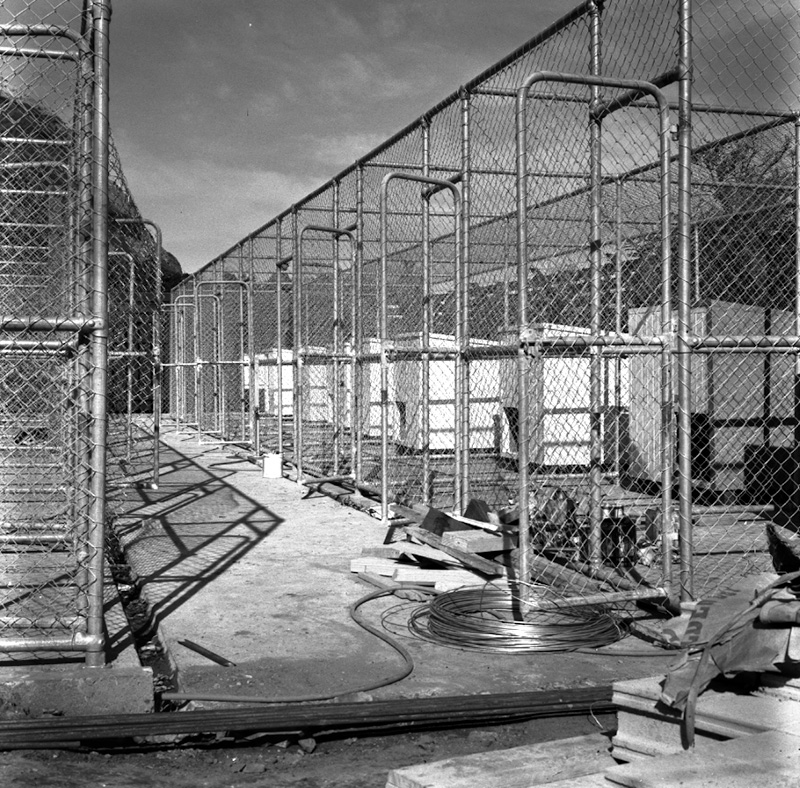 g. New dog pound, Moa Point