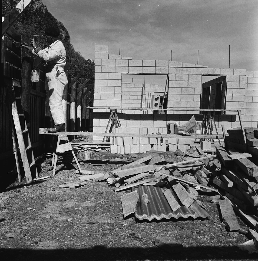 i. New dog pound, Moa Point