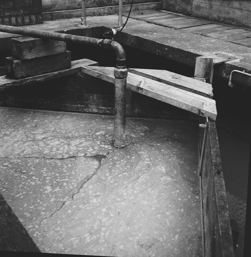 b. Sewerage Treatment Plant, Ngauranga