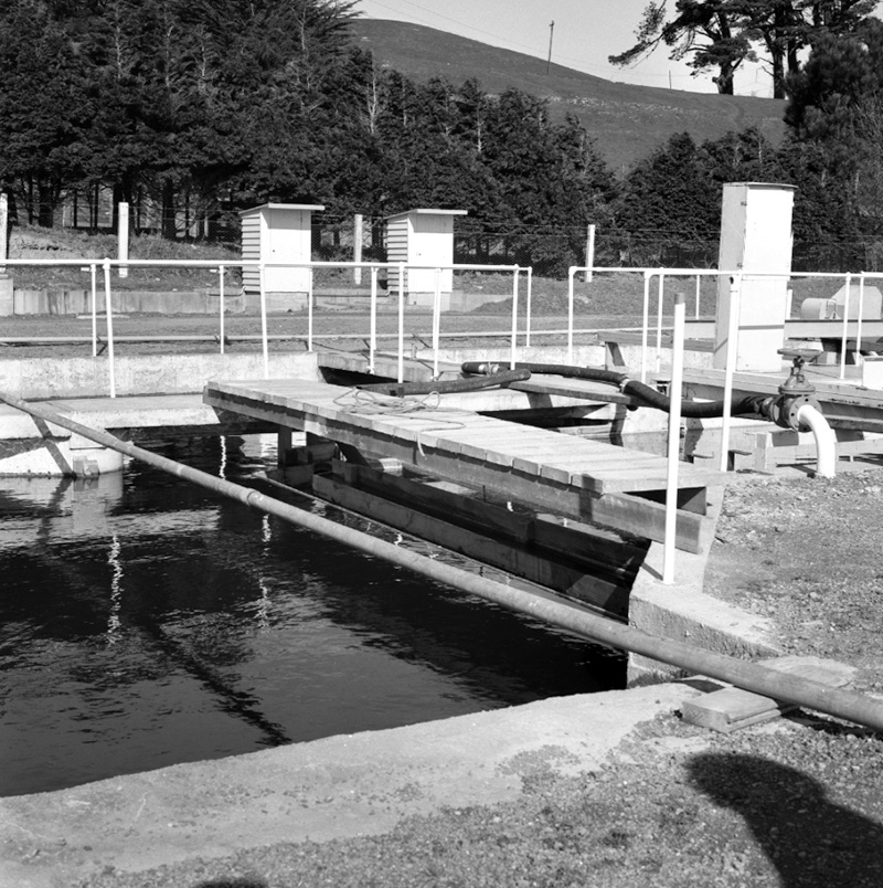 c. Sewerage Treatment Plant, Glenside