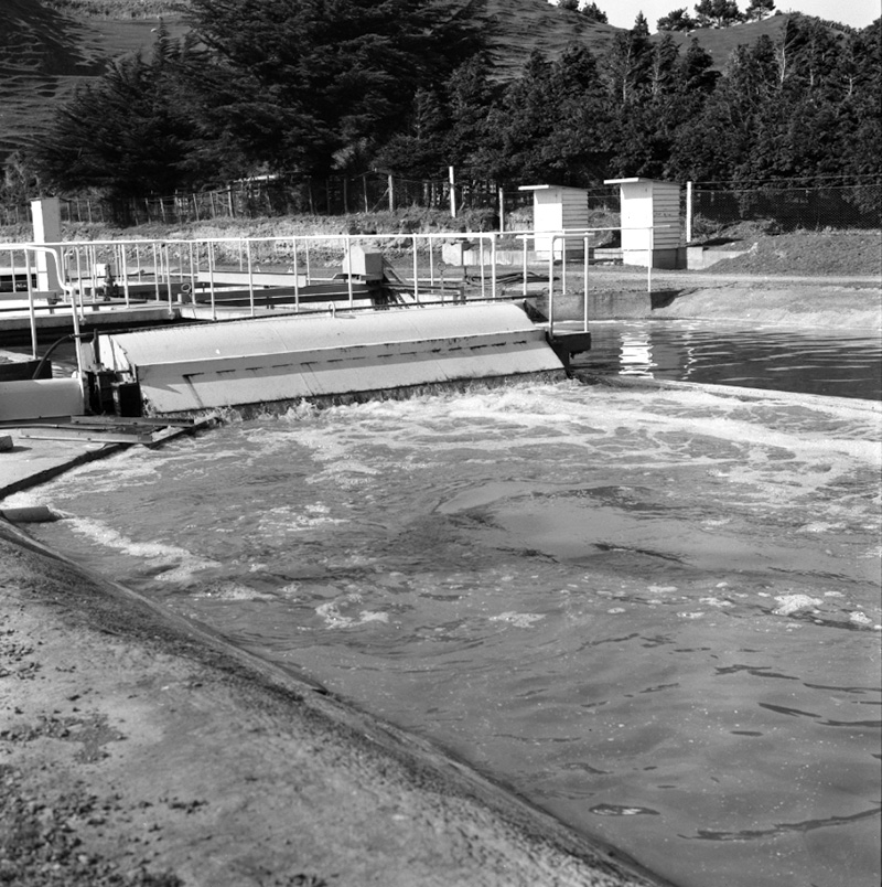 e. Sewerage Treatment Plant, Glenside
