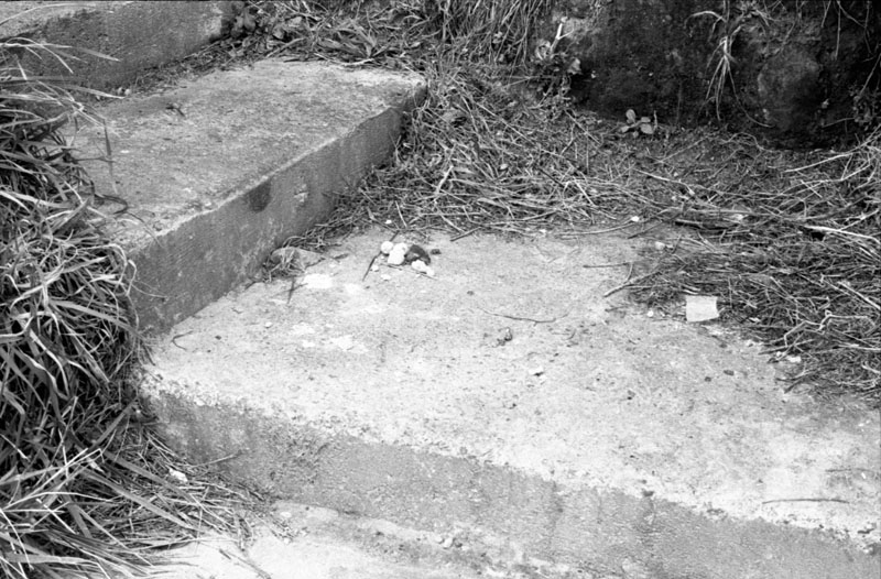 a. No 98 Ruskin Rd-Newlands