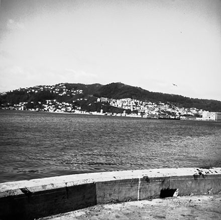 a. Waterfront, Oriental Bay